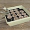 Plantation Products Jiffy 14 Cells 11 in. H X 11 in. W Seed Starting Kit 1 pk T14H - alternate 2